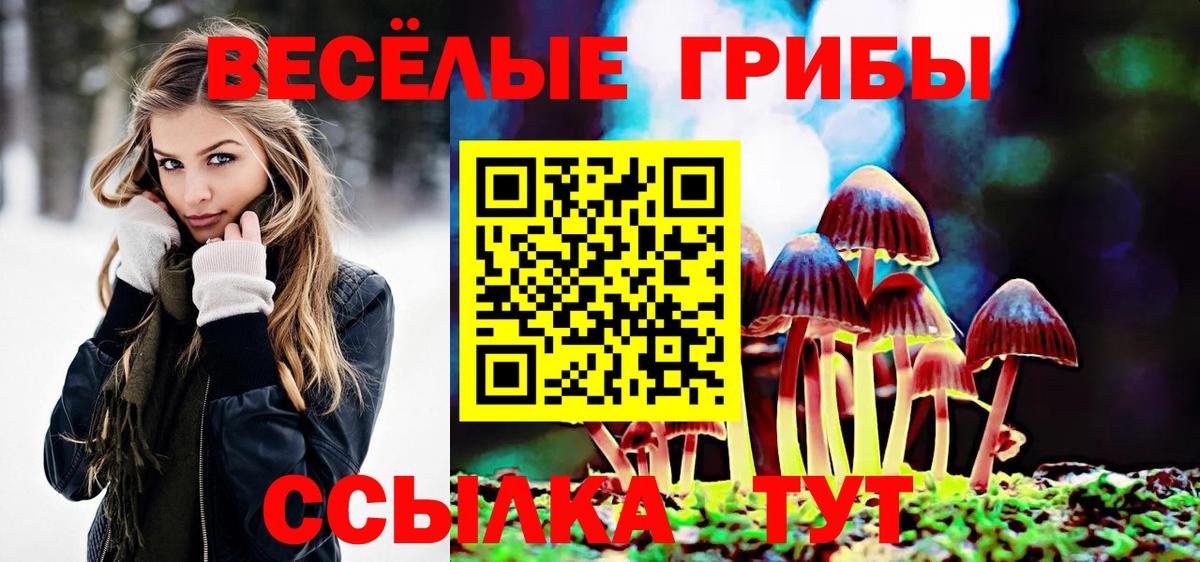 Галлюциногенные грибы GOLDEN TEACHER  Вход с VPN  Нурлат 